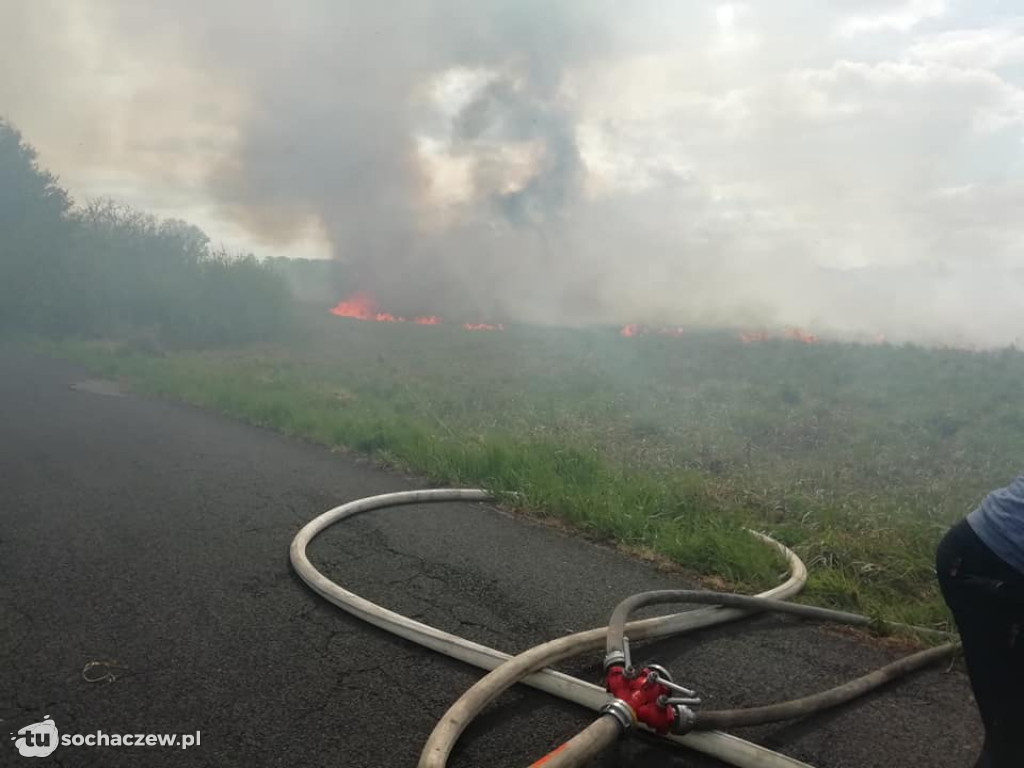 Duży pożar w Famułkach Brochowskich