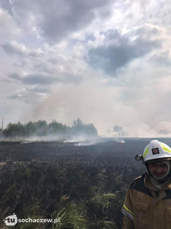 Duży pożar w Famułkach Brochowskich