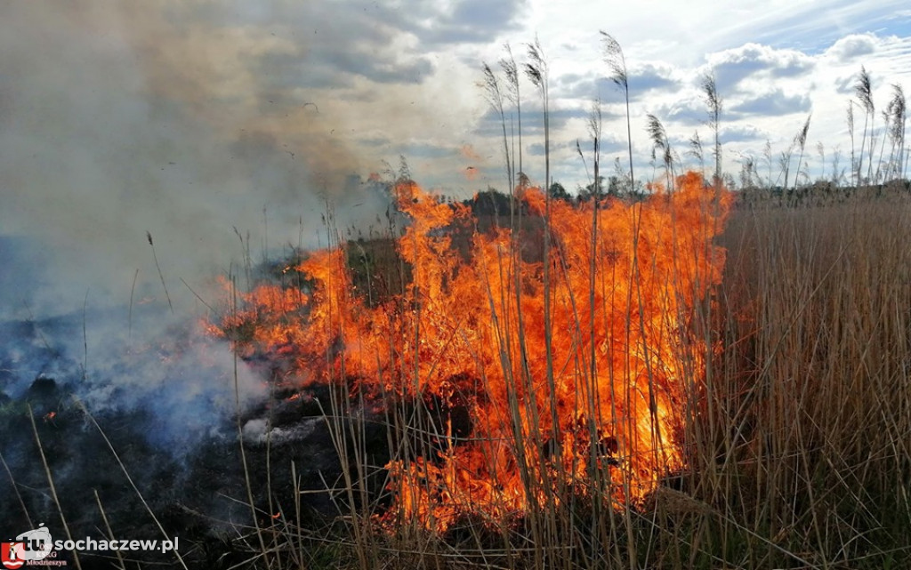Duży pożar w Famułkach Brochowskich