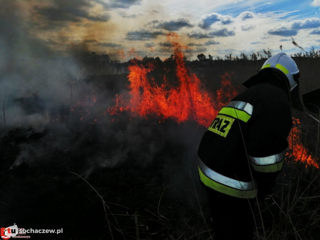 Duży pożar w Famułkach Brochowskich
