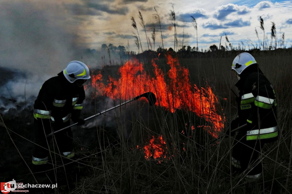 Duży pożar w Famułkach Brochowskich