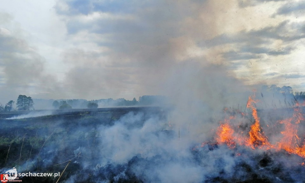 Duży pożar w Famułkach Brochowskich