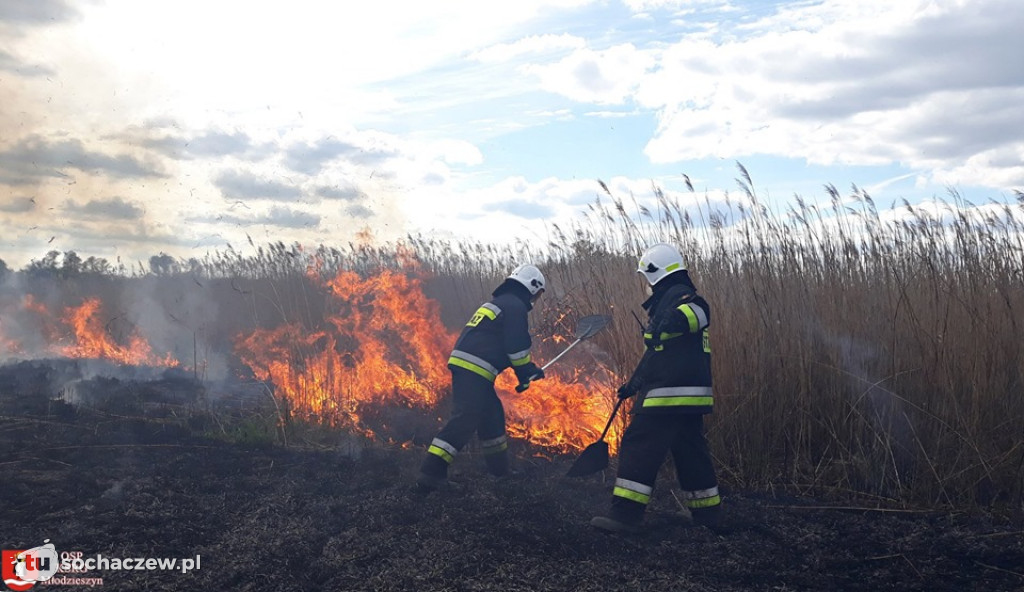 Duży pożar w Famułkach Brochowskich