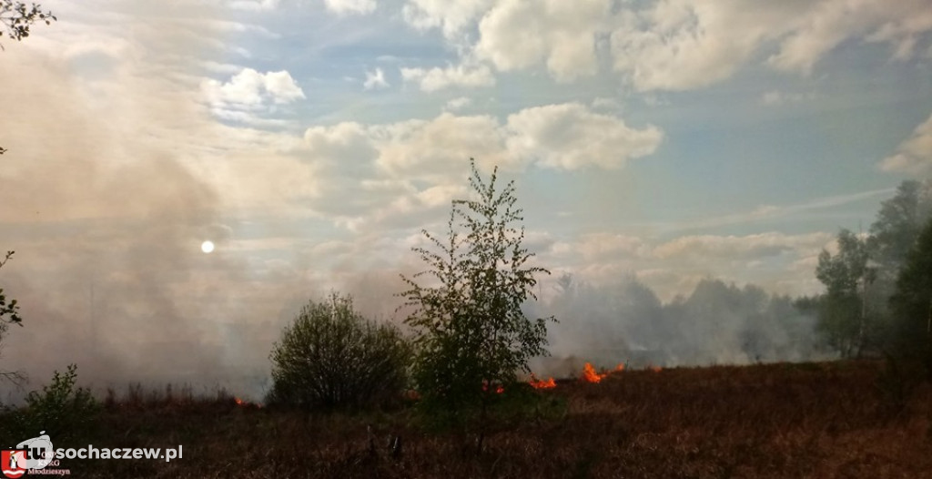 Duży pożar w Famułkach Brochowskich