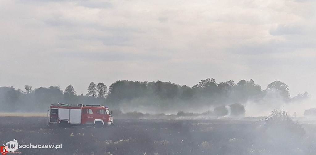 Duży pożar w Famułkach Brochowskich