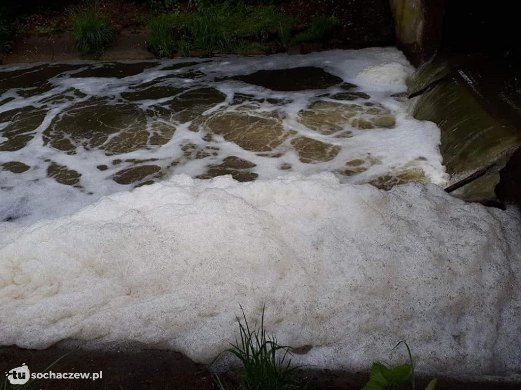 Skażona Utrata. Jest komunikat WIOŚ