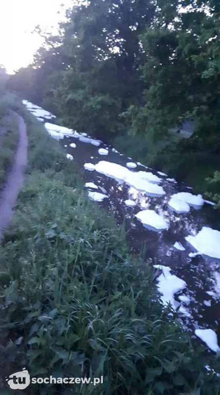 Skażona Utrata. Jest komunikat WIOŚ