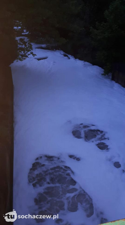 Skażona Utrata. Jest komunikat WIOŚ