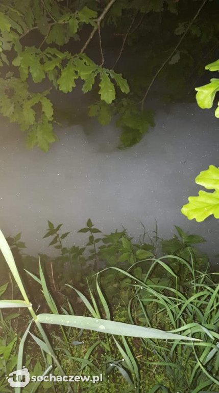 Skażona Utrata. Jest komunikat WIOŚ