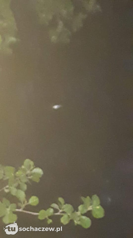 Skażona Utrata. Jest komunikat WIOŚ