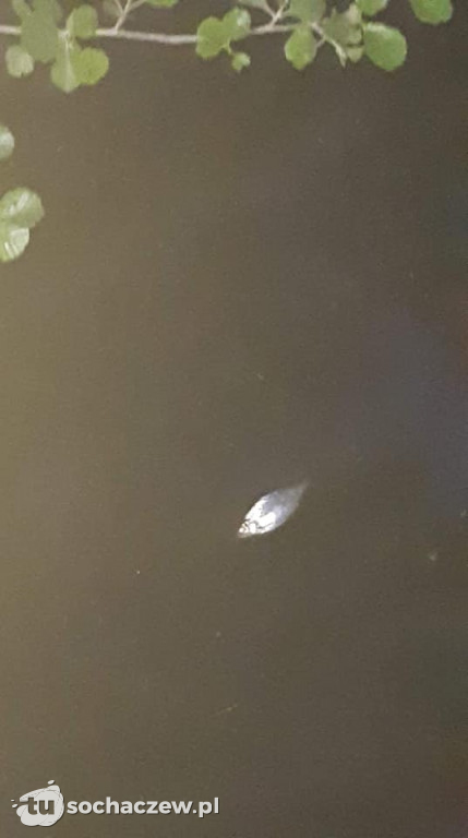 Skażona Utrata. Jest komunikat WIOŚ