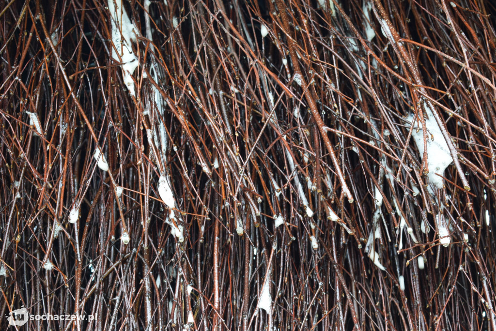 Tężnia solankowa w Sochaczewie