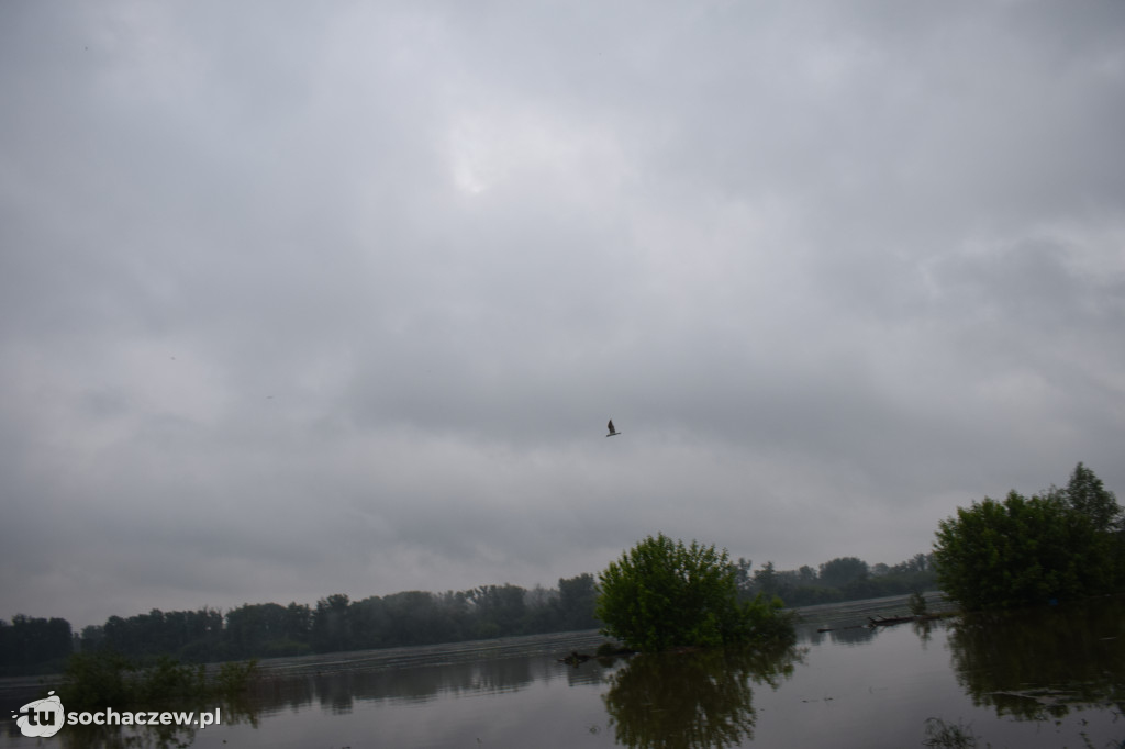 Alarm powodziowy w powiecie