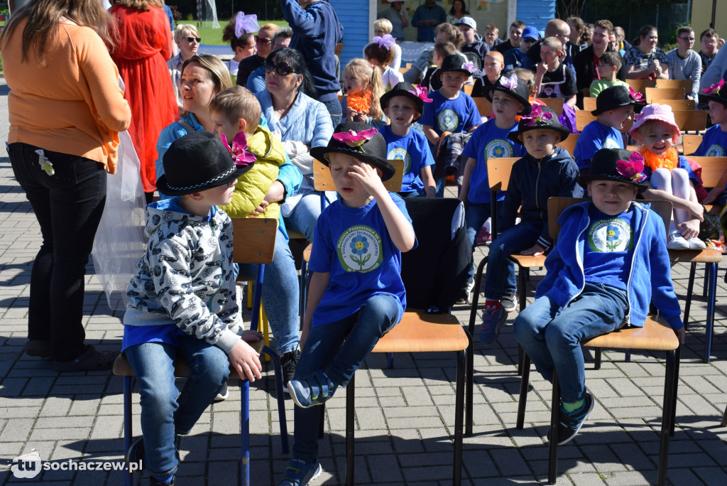 Erminówka 2019