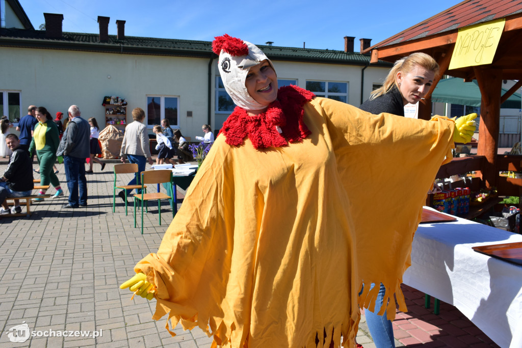Erminówka 2019