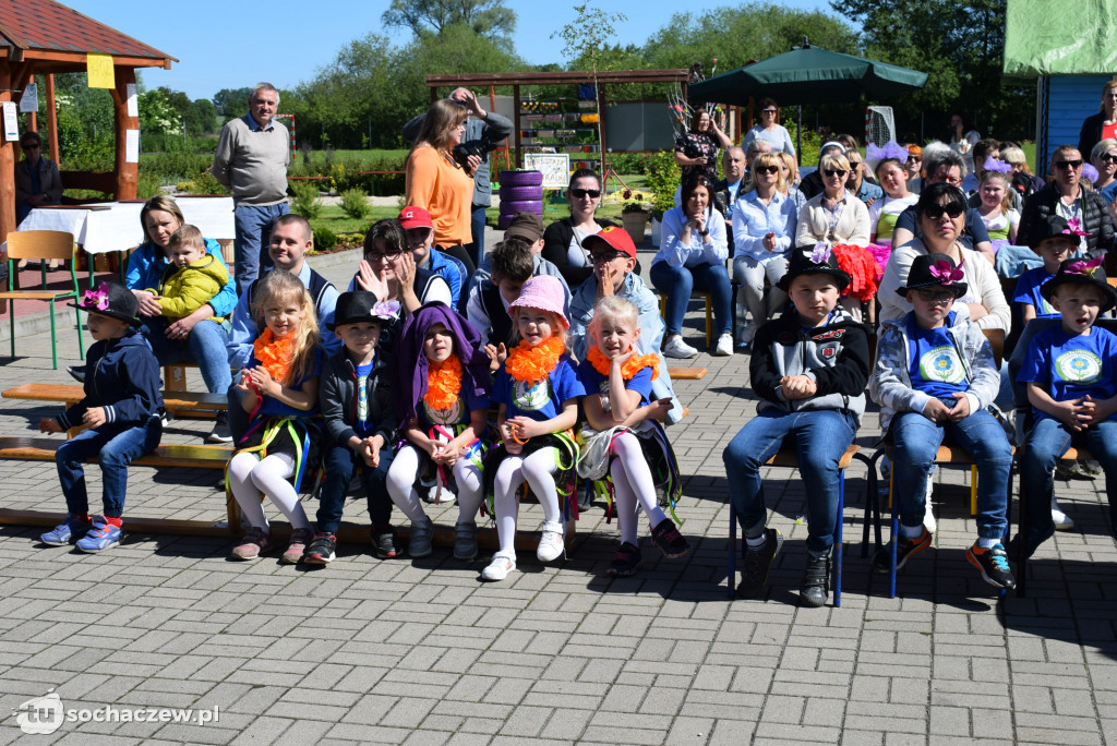 Erminówka 2019