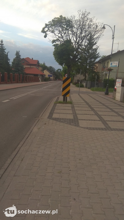 Czy pani widzi ten samochód? Ale nie ten tyłem