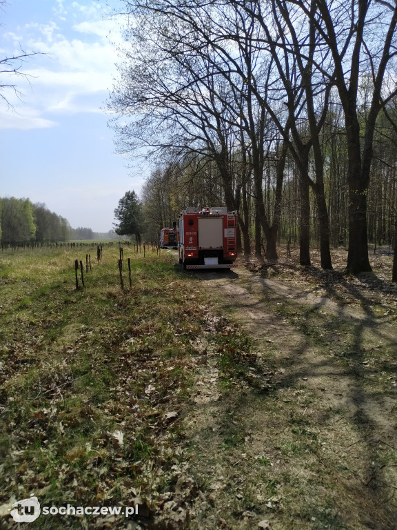 1,5 hektara łąki w płonieniach