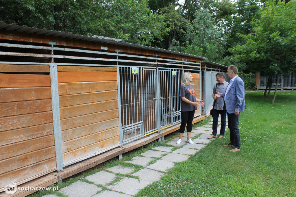 Ratusz w schronisku w Płocku