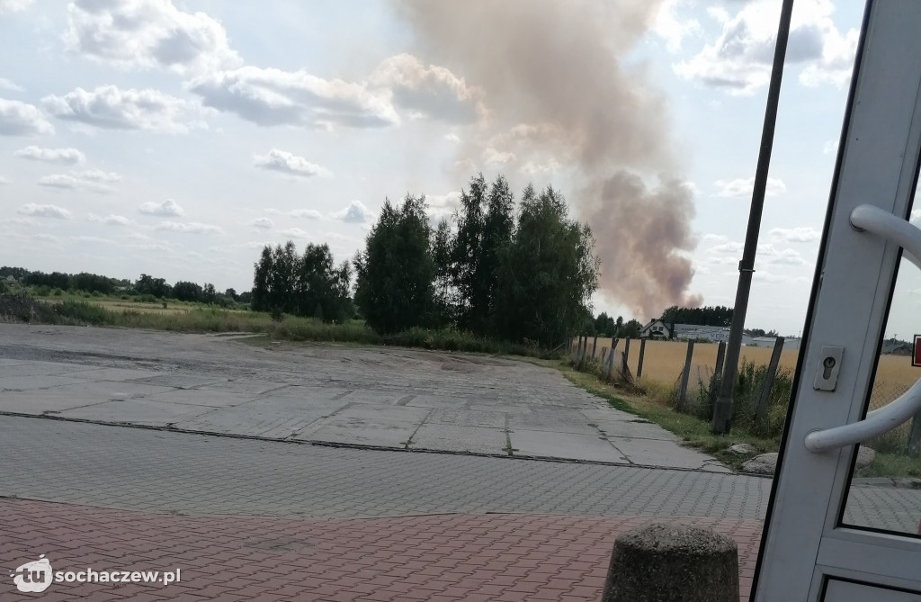Duży pożar zboża w Rokotowie