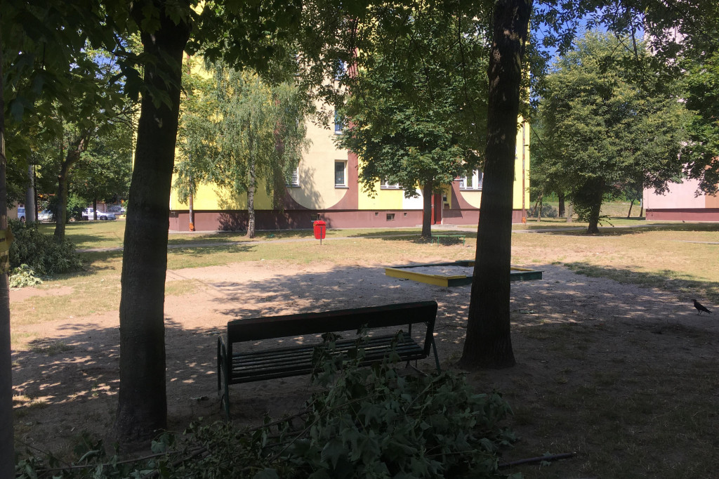 Plac Zabaw przy Okrzei. Przed i po