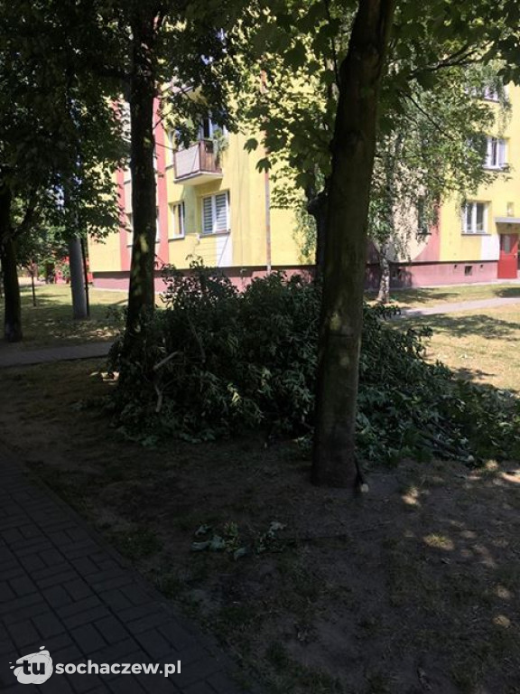 Plac Zabaw przy Okrzei. Przed i po