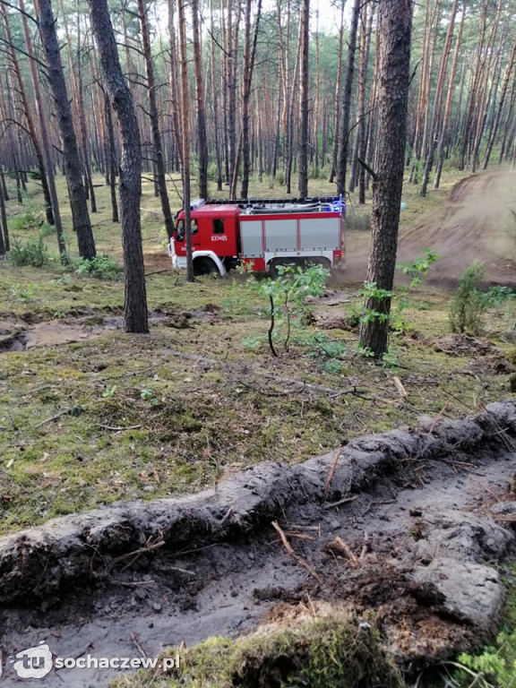 Spłonęło 5 hektarów lasu