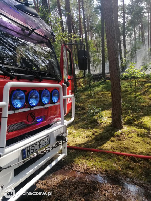 Spłonęło 5 hektarów lasu