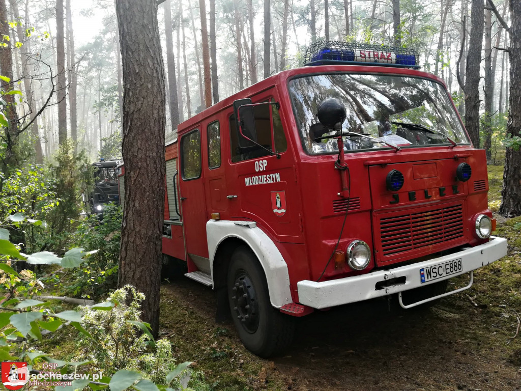 Spłonęło 5 hektarów lasu