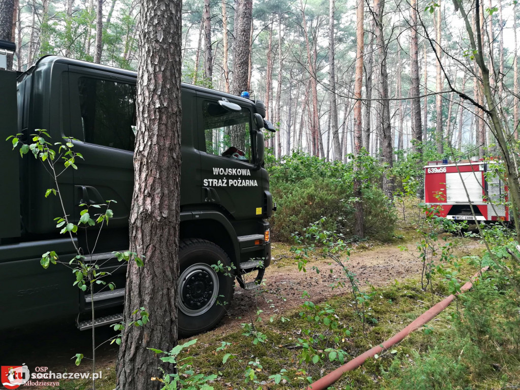 Spłonęło 5 hektarów lasu
