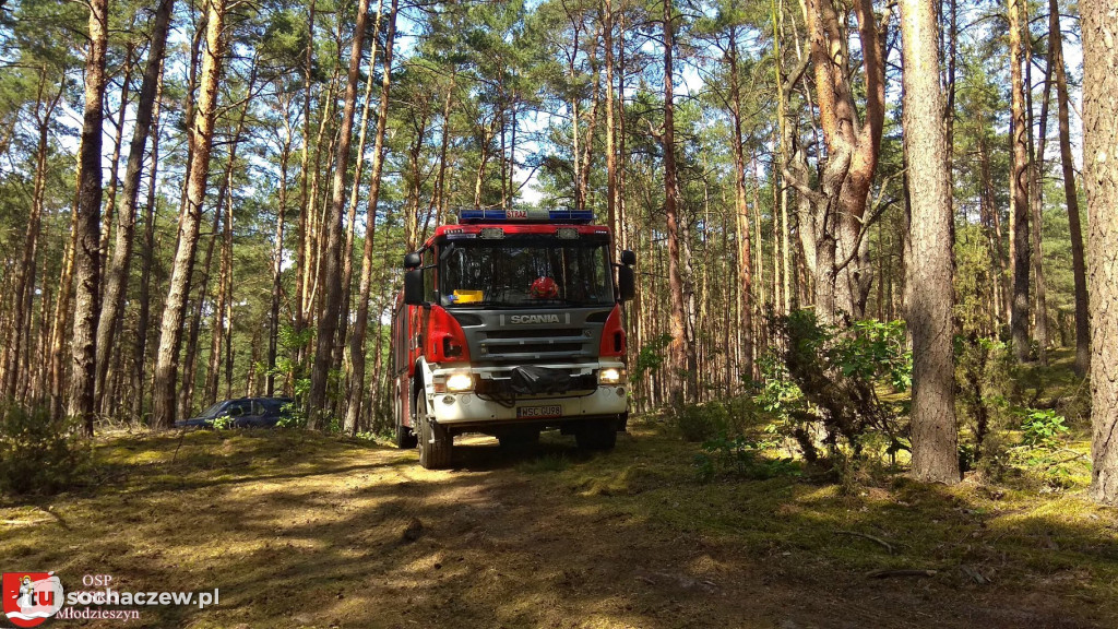 Spłonęło 5 hektarów lasu