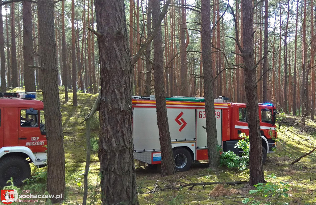 Spłonęło 5 hektarów lasu
