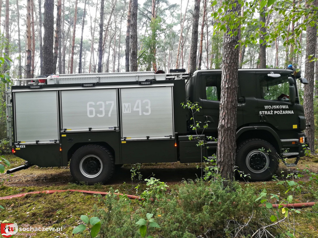 Spłonęło 5 hektarów lasu