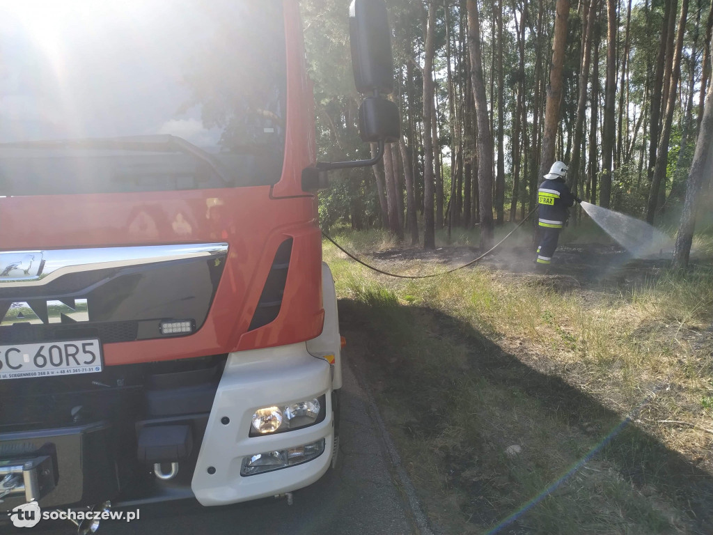 Spłonęło 5 hektarów lasu
