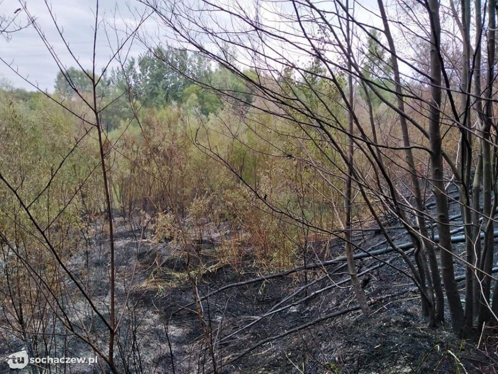Pożar balotów w Paulince i pozostałe akcje