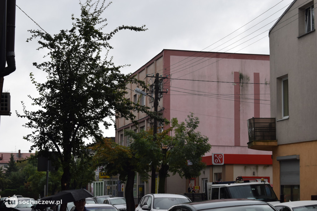 Akcja podcinania gałęzi