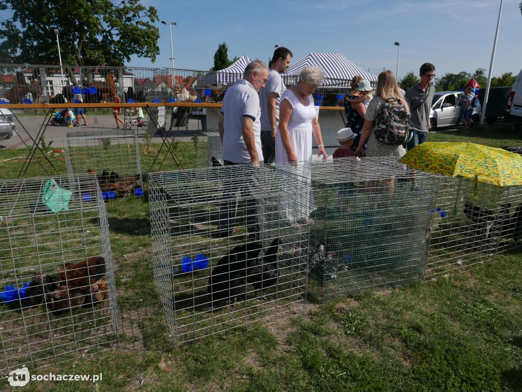 Dożynki w Błoniu 2019