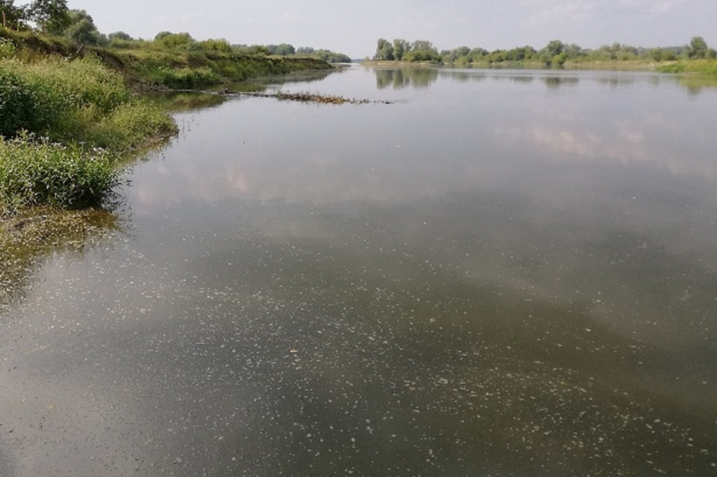 Ścieki Wisły w powiecie sochaczewskim