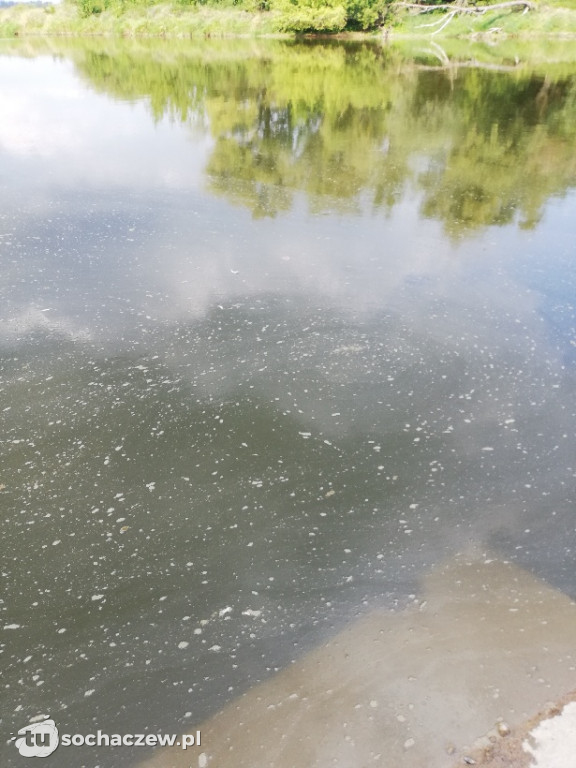 Ścieki Wisły w powiecie sochaczewskim