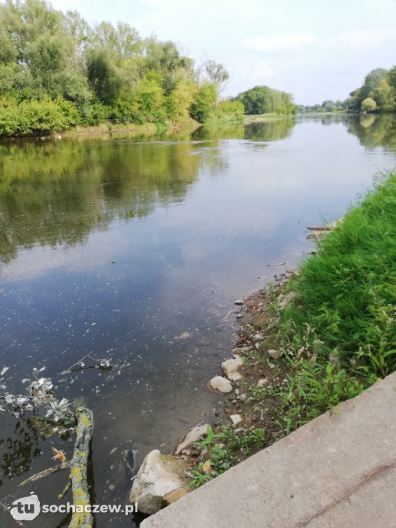 Ścieki Wisły w powiecie sochaczewskim