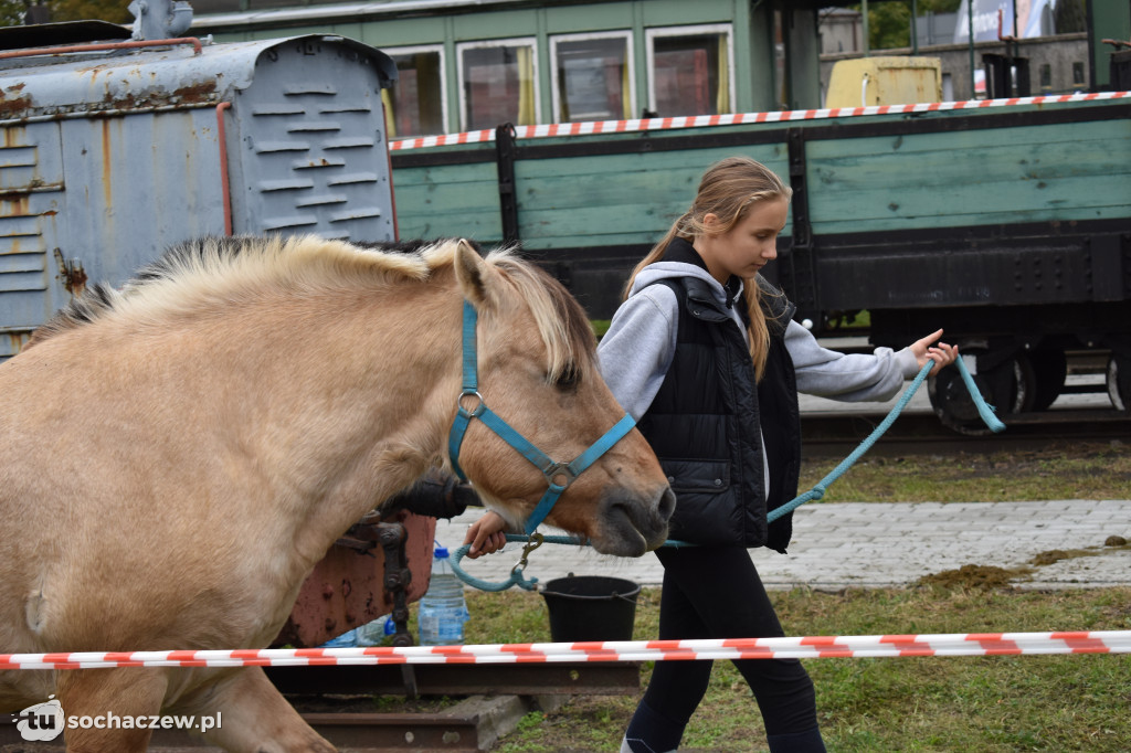Motoserce Sochaczew 2019