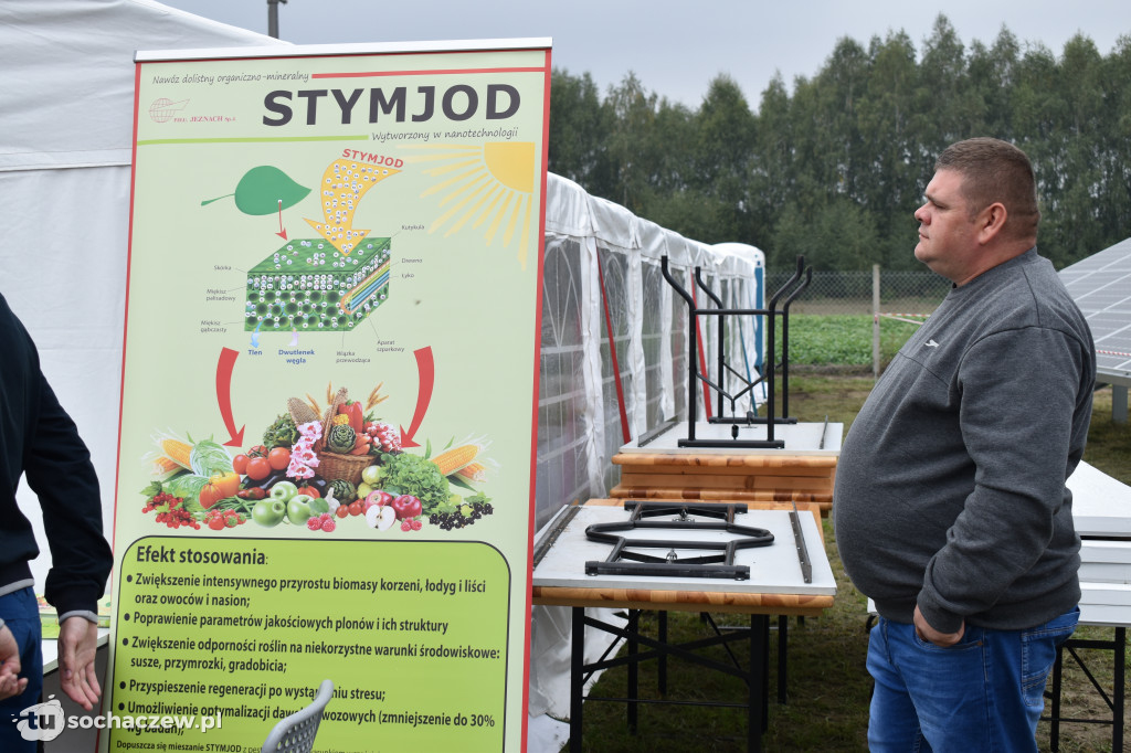 Elektrownia fotowoltaiczna otwarta