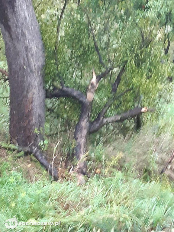 Skutki wichury w powiecie