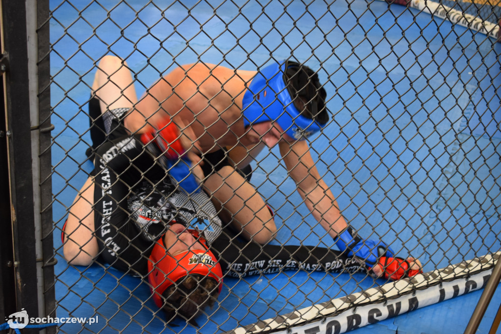 Mistrzostwa Polski MMA w Sochaczewie