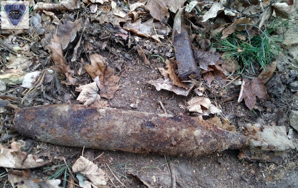 Poszukiwania w lesie w Kożuszkach Parcel
