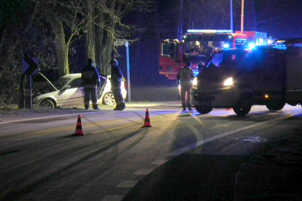 Pawłowice. Auto wypadło z drogi