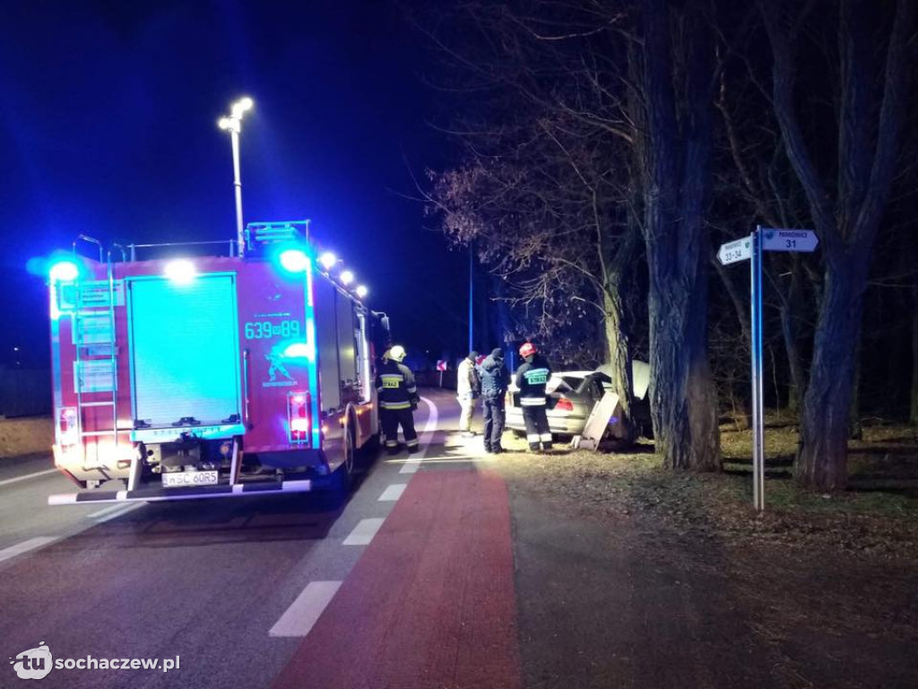 Pawłowice. Auto wypadło z drogi