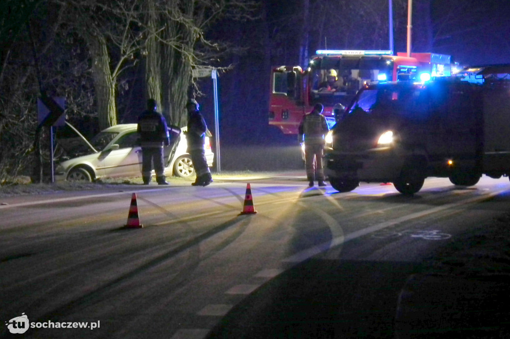 Pawłowice. Auto wypadło z drogi