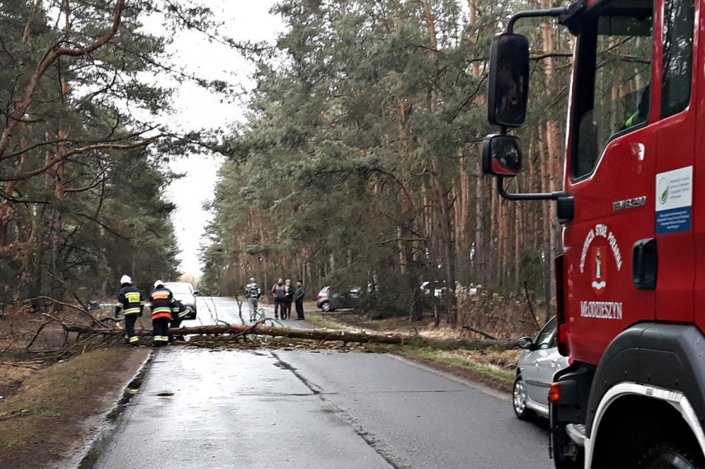Powalone drzewa i strażacy w akcji
