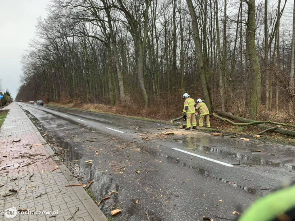 Powalone drzewa i strażacy w akcji
